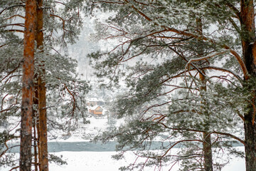 solitude of a remote cabin surrounded by snow-covered pines, emphasizing the quiet beauty of a...