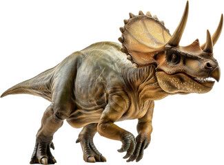 Fototapeta premium A detailed, colorful rendering of a Triceratops dinosaur, featuring three prominent horns and a textured frill. 
