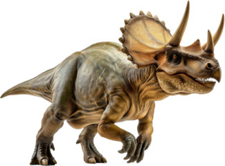 A detailed, colorful rendering of a Triceratops dinosaur, featuring three prominent horns and a textured frill.
