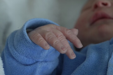 A detailed close-up of a newborn baby’s tiny hand emerging from a blue onesie, symbolizing the...