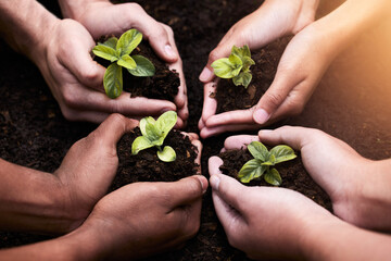 Plants ,hands and soil for collaboration with nature, earth wellness and gardening hope for future...