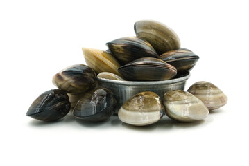 Closed up fresh baby clams, venus shell, shellfish, carpet clams, short necked clams, as raw food from the sea are the seafood ingredients. fresh clams Background. seafood.Isolated on white background