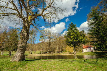 Obraz premium Small chapel and the Amber Fountain (Holy Fountain) Szent-kút (Borostyán-kút) Chapel near the Hungarian village Bakonybél in Hungary.