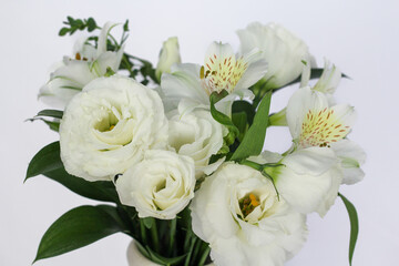 Flower, Plant, Dry flower, Flower pot, white background, still, Beautiful flower