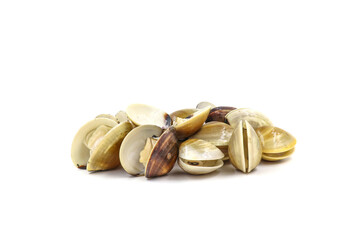 Closed up fresh baby clams, venus shell, shellfish, carpet clams, short necked clams, as raw food from the sea are the seafood ingredients. fresh clams isolated on white background.