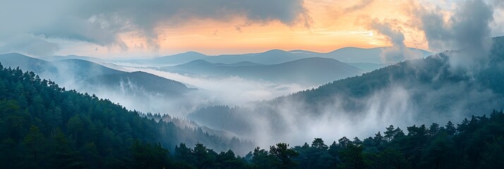 Mountains in clouds at sunrise in summer, Aerial view of mountain slopes with green trees in fog, Beautiful landscape with hills and foggy forest, Top view from drone of mountain woods in low clouds - Powered by Adobe