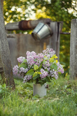 Still-life. Photo of a bouquet of lilacs near an old well.