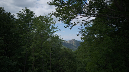 Scorcio dalla strada per Fonte Avellana nelle Marche in montagna
