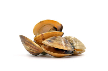 Closed up fresh baby clams, venus shell, shellfish, carpet clams, short necked clams, as raw food from the sea are the seafood ingredients. fresh clams Background.