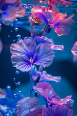 Abstract floral aesthetic background. Colourful flowers under the glass with water Beautiful flowers and petals.