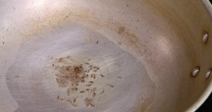 Saut&eacute; frying tossing tomato onion garlic cumin red dry chilli spice in hot oil saucepan cooking for dal tadka bagar 