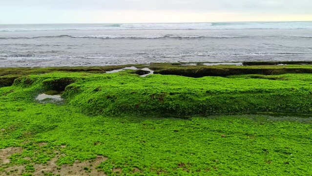 Landscape view of sea sand, moss and coral rocks on a cloudy summer day. Molang Beach, Tulungagung, Indonesia