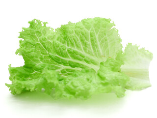 Fresh lettuce on white background
