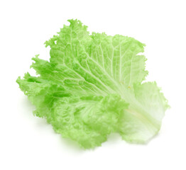 Fresh lettuce on white background
