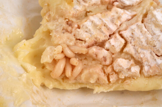 Asticots sur un vieux camembert en gros plan