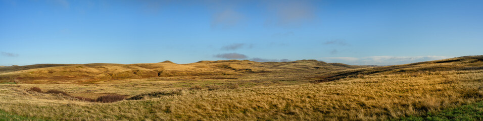 Fototapeta premium Panoramic view of a dry barren grassland prairie with small hills under a bright blue sky. 