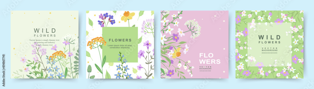 Canvas Prints floral background with a pattern of wild flowers and herbs. spring and summer card templates with na