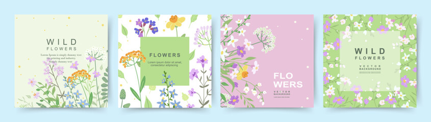 Floral background with a pattern of wild flowers and herbs. Spring and summer card templates with nature elements. Vector illustration for card, banner, invitation, social media post, poster, design
