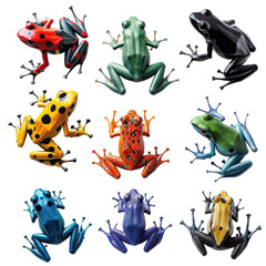Naklejka premium A set of nine colorful frogs in isolated on transparent background