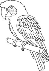 Obraz premium Parrot Bird Doodle