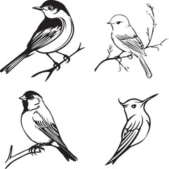 black and white drawing of bird outline