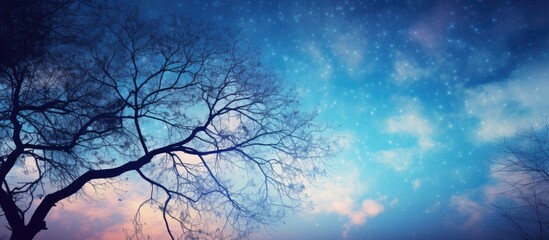 A beautiful view of the sky peeking through the branches creating a stunning copy space image