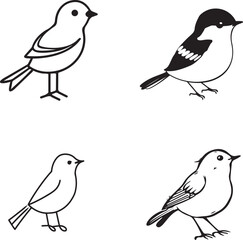 black and white drawing of bird outline