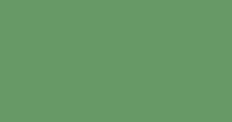Plain Army Green Single Solid Colour Background illustration
