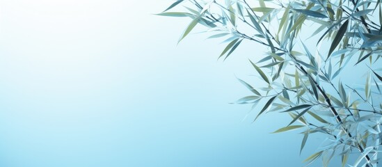A light blue background showcases bamboo leaves creating ample copy space for text