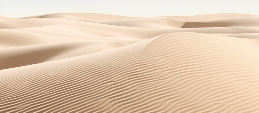 This sentence seems to be incomplete as it only consists of the phrase Sand lines Can you please provide more context or clarify what you would like me to paraphrase. Copyspace image