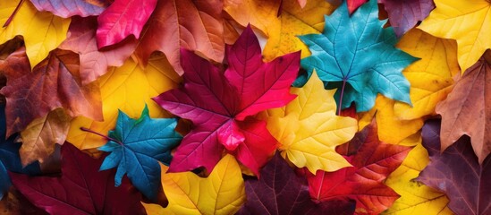 A vibrant autumn setting with leaves of various colors providing an ideal copy space image