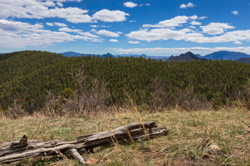 landscape view of the mountains with a dry log in the foreground