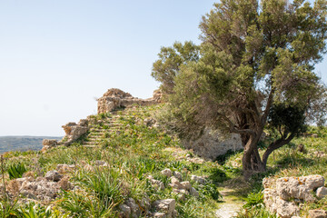 castle ruins of Antimachia Castle Kos Island South Aegean Region (Südliche Ägäis) Greece