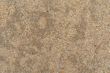 水を含んだ砂地