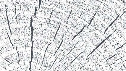 Wood wall distress overlay textured. Cross section tree rings cut slice. Black grainy texture on white background. Grunge design elements. Vector illustration. EPS 10.	