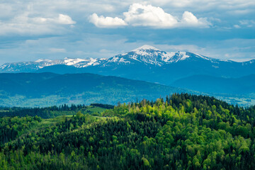 Ukraine Goverla view in to the valley. summer landscape of carpatian mountains. sunny day with...