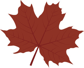 autumn leaves illustration