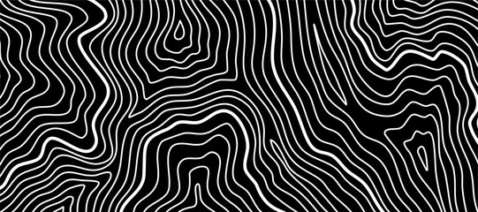 Wavy Contour background. Topographic contour background. contour lines background. Topographic map background. Abstract wavy background.