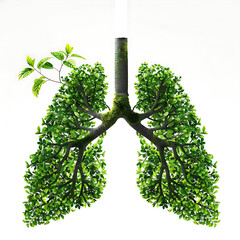 Forest trees in the Lung shape. Concept image, Showing dense forest trees in the shape of a lung. In the lush and pristine forest.