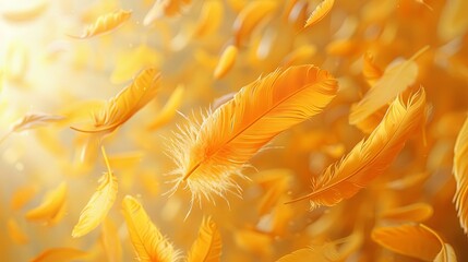 Light orange feathers floating in the air