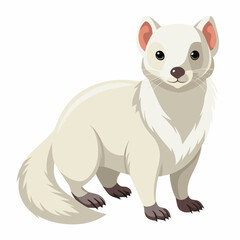 albino-ferret-rodent-goes-vector-white-background