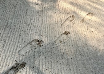Human foot prints on sand small textured ground with warm sun light shade shadow floor horizontal background.