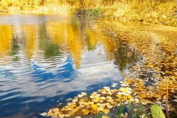 Water in the lake with reflection of autumn trees and sky with clouds