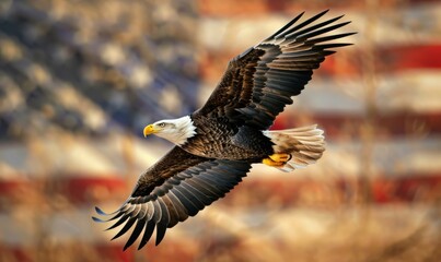 Obraz premium bald eagle flying with blurred American flag in the background.