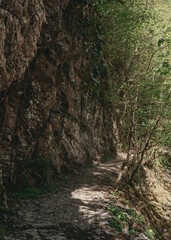 Forest path in the mountainous southern part of Russia