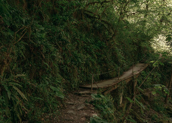 Old wooden bridge in the mountainous southern part of Russia