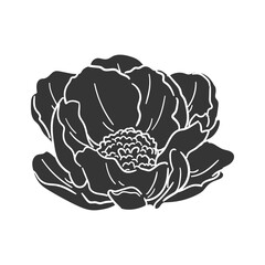 Peony Icon Silhouette Illustration. Flowers Vector Graphic Pictogram Symbol Clip Art. Doodle Sketch Black Sign.