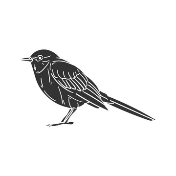 recommend clip art: Mockingbird Icon Silhouette Illustration. Bird Vector Graphic Pictogram Symbol Clip Art. Doodle Sketch Black Sign.
