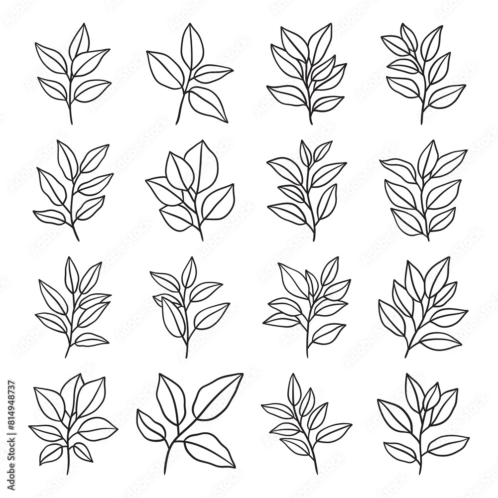 Wall mural Set of branch and leaves vector