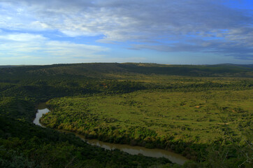 Landscape of a green Bush Steppe with a river in South Africa
